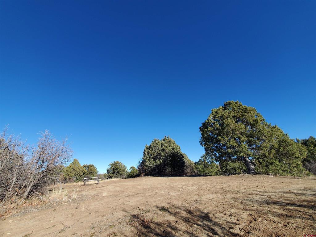 13989 Road 35.6 Mancos CO 81328