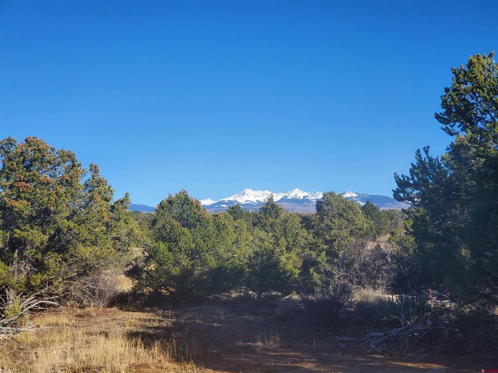 13989 Road 35.6 Mancos CO 81328