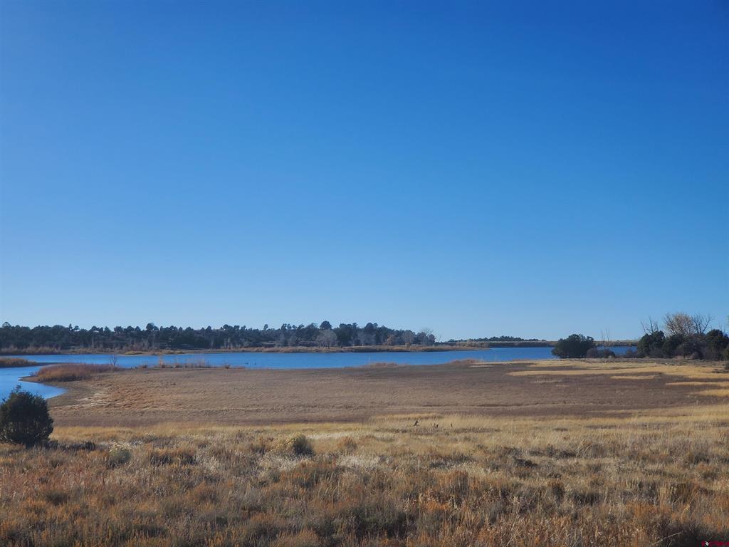 13989 Road 35.6 Mancos CO 81328