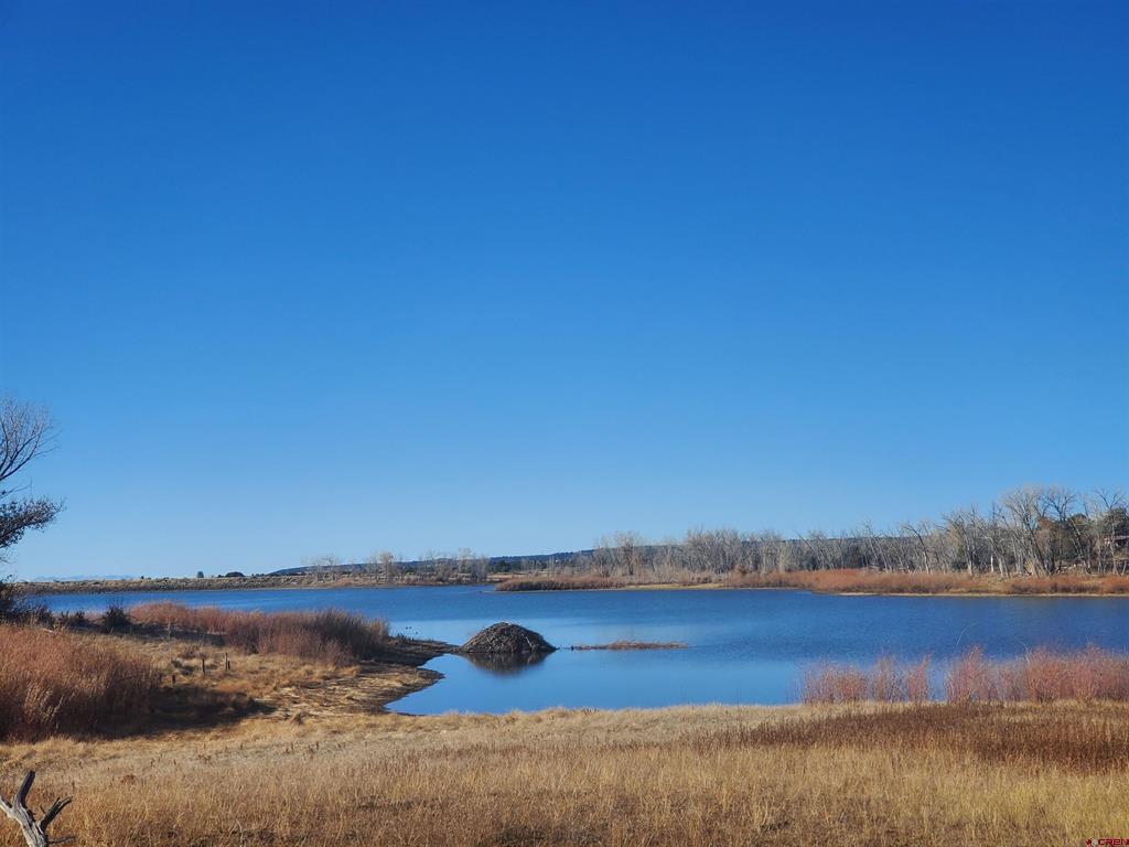 13989 Road 35.6 Mancos CO 81328