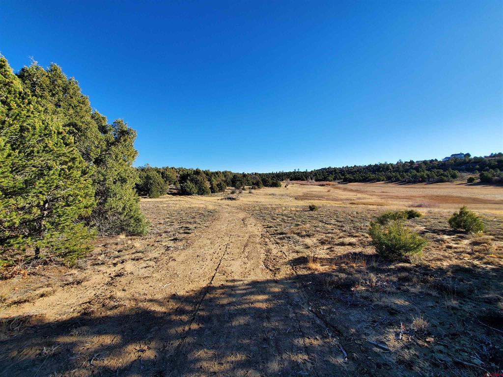 13989 Road 35.6 Mancos CO 81328