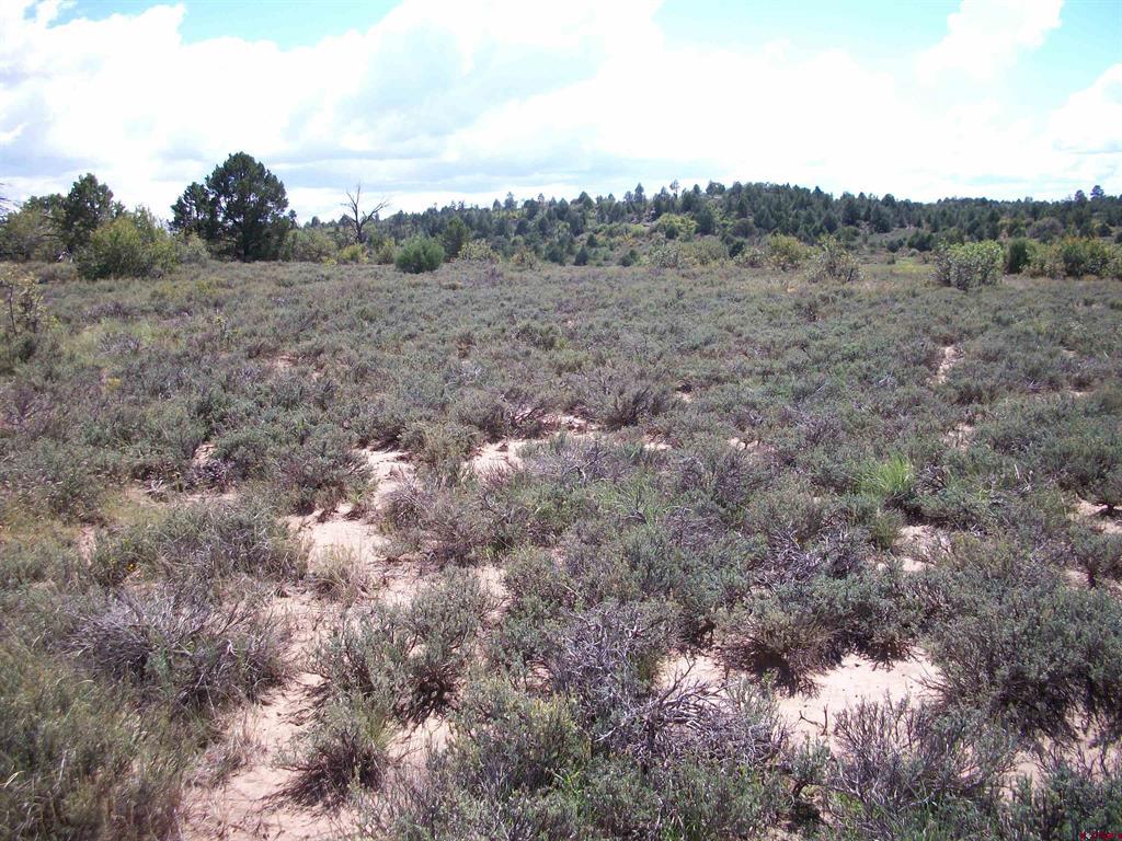 13989 Road 35.6 Mancos CO 81328