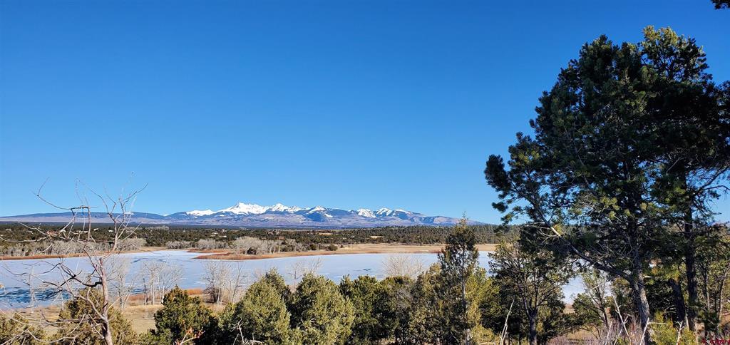 13989 Road 35.6 Mancos CO 81328