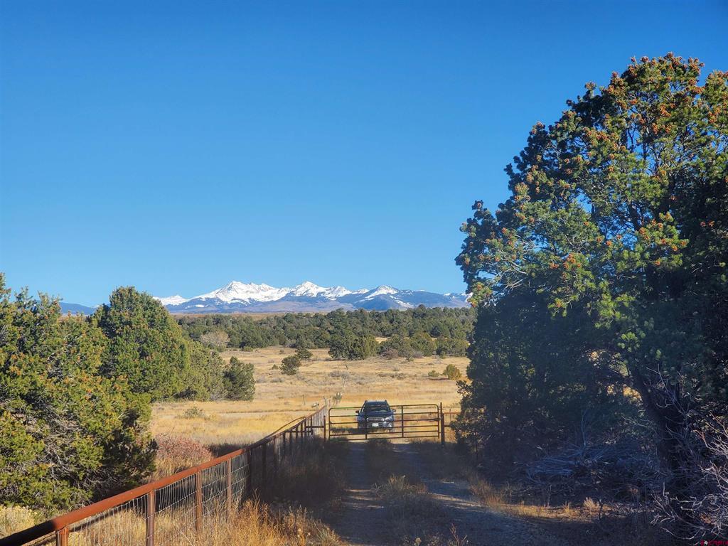 13989 Road 35.6 Mancos CO 81328