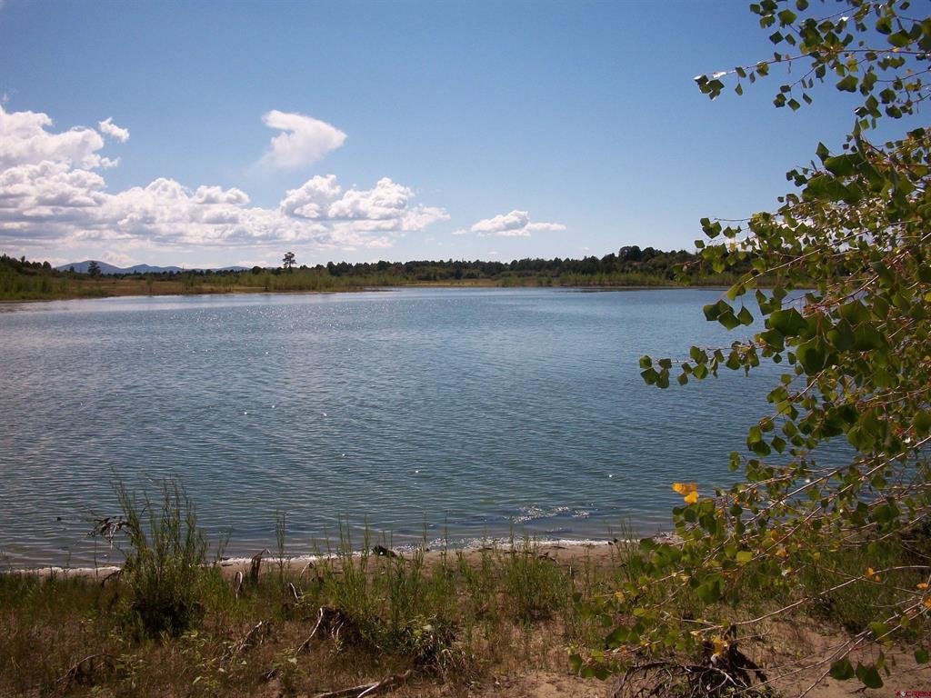 13989 Road 35.6 Mancos CO 81328