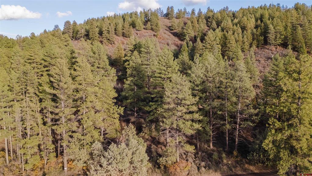 244 Ute Drive Pagosa Springs CO 81147