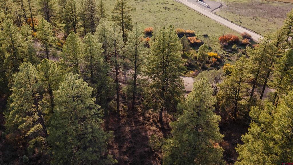 244 Ute Drive Pagosa Springs CO 81147