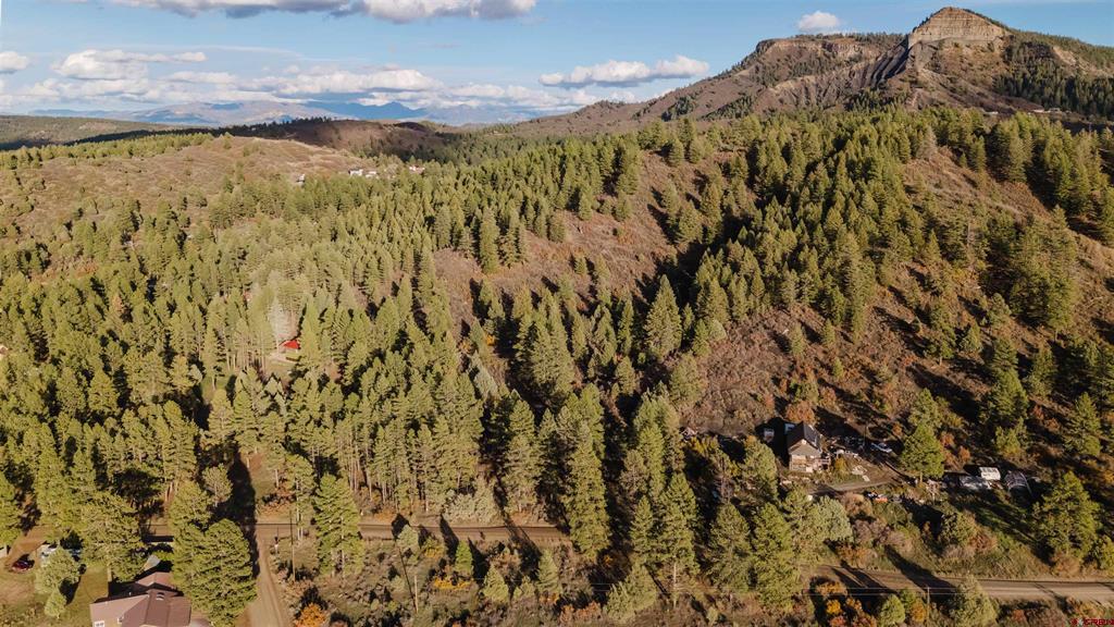 244 Ute Drive Pagosa Springs CO 81147
