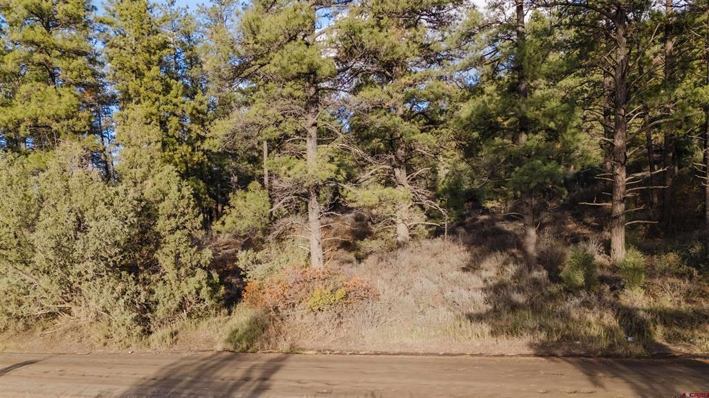 244 Ute Drive Pagosa Springs CO 81147