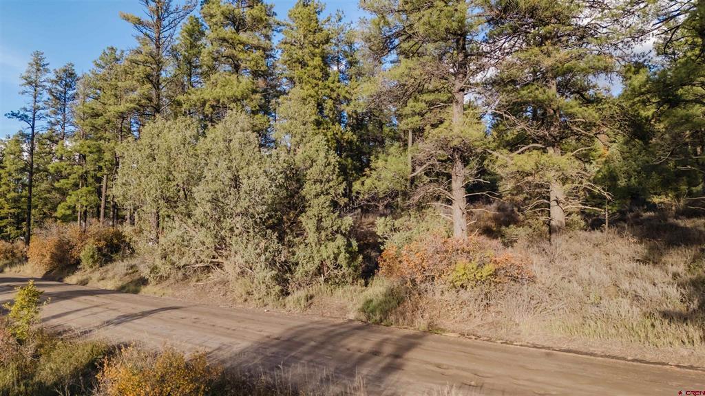 244 Ute Drive Pagosa Springs CO 81147