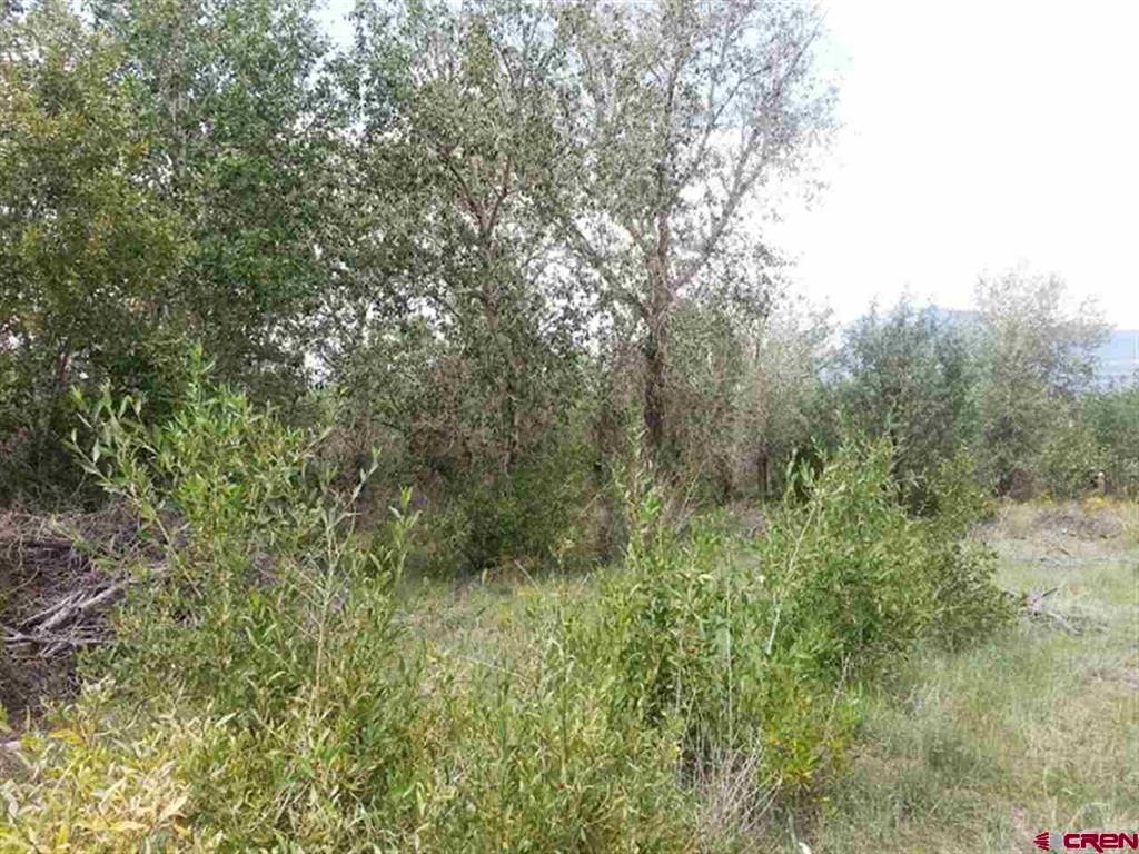 000 Shoshone Trail South Fork CO 81154