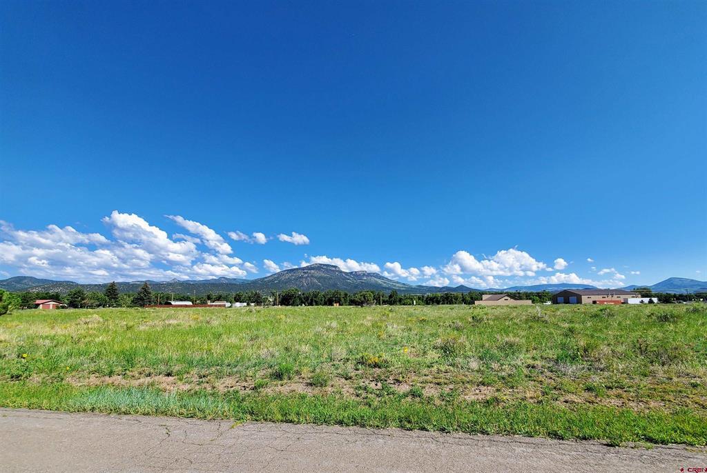 000 Shoshone Trail South Fork CO 81154