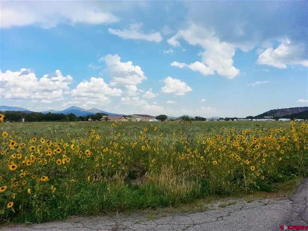000 Shoshone Trail South Fork CO 81154