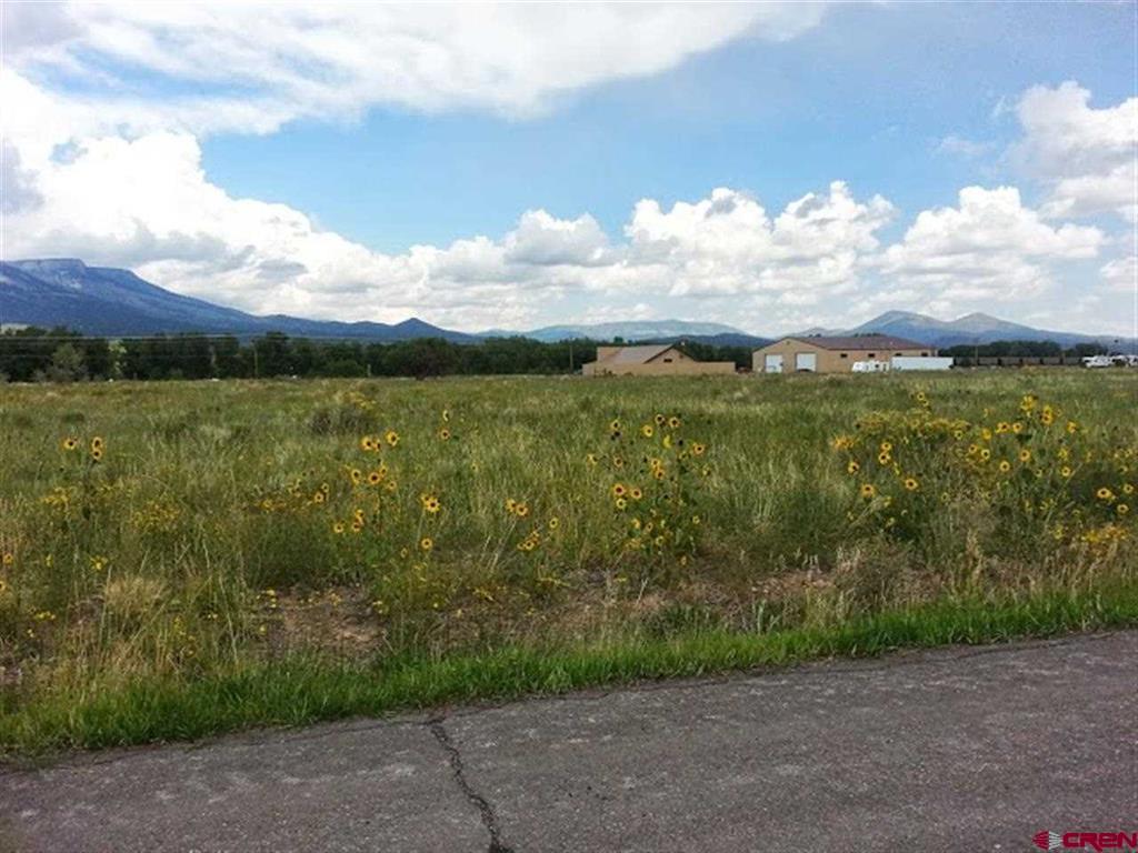 000 Shoshone Trail South Fork CO 81154