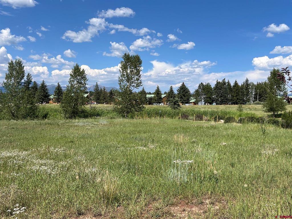X Talisman Drive Pagosa Springs CO 81147