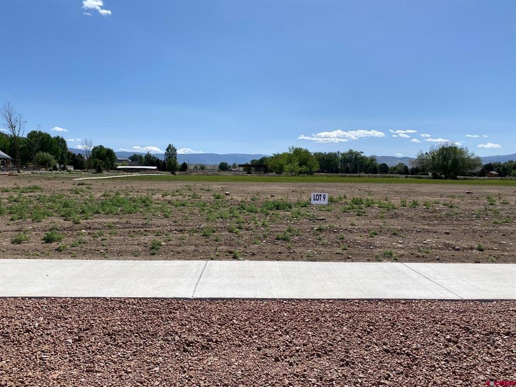Lot 9 6700 Road Montrose CO 81401