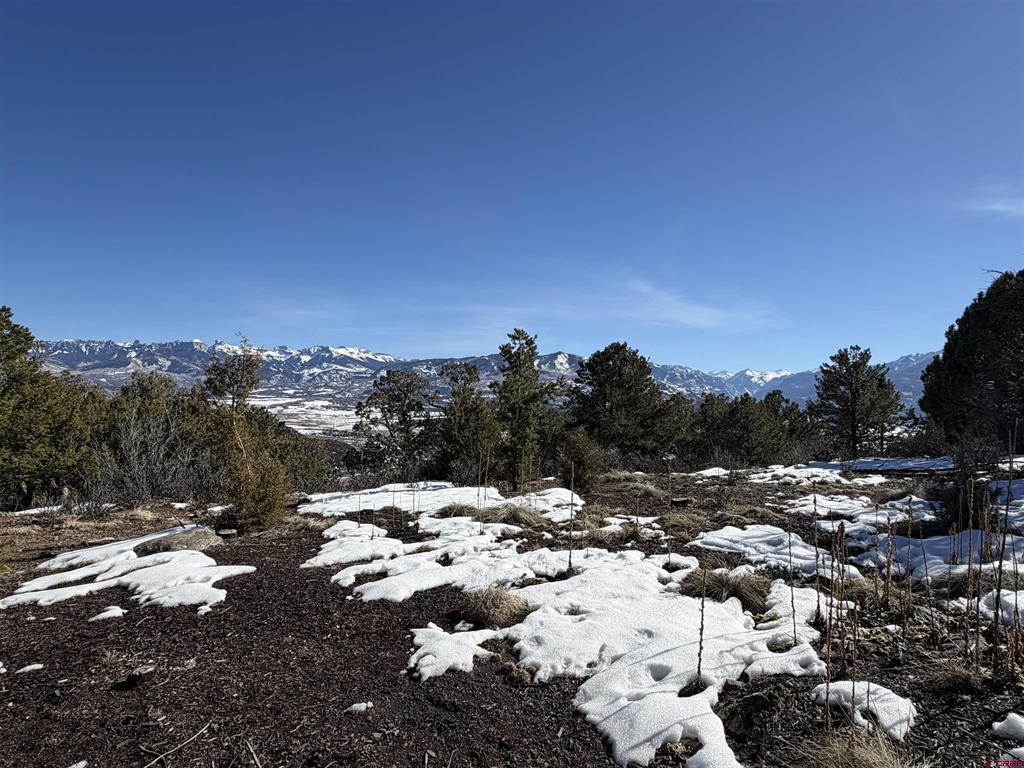 Tbd Pine Drive Ridgway CO 81432