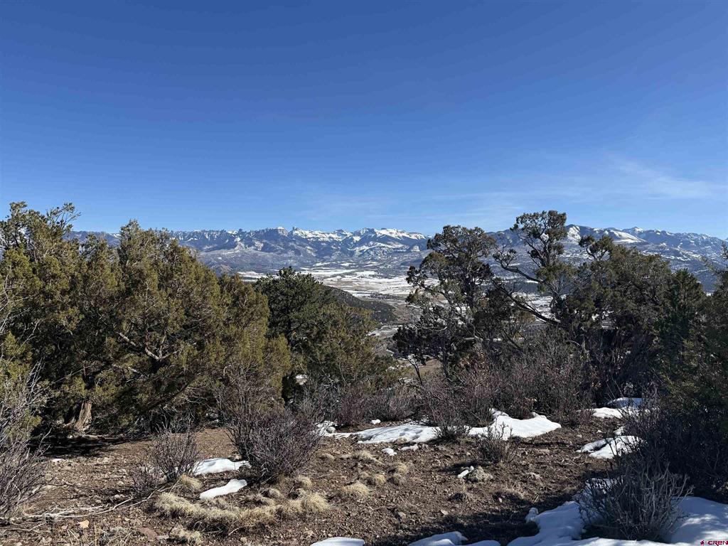 Tbd Pine Drive Ridgway CO 81432