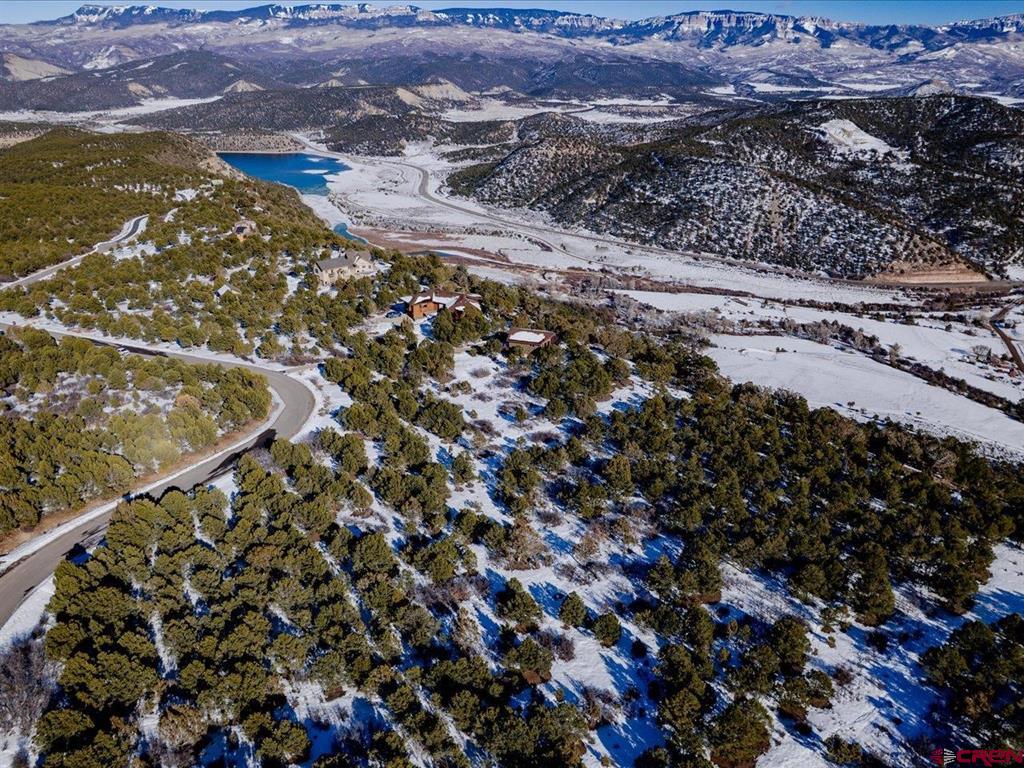Tbd Pine Drive Ridgway CO 81432