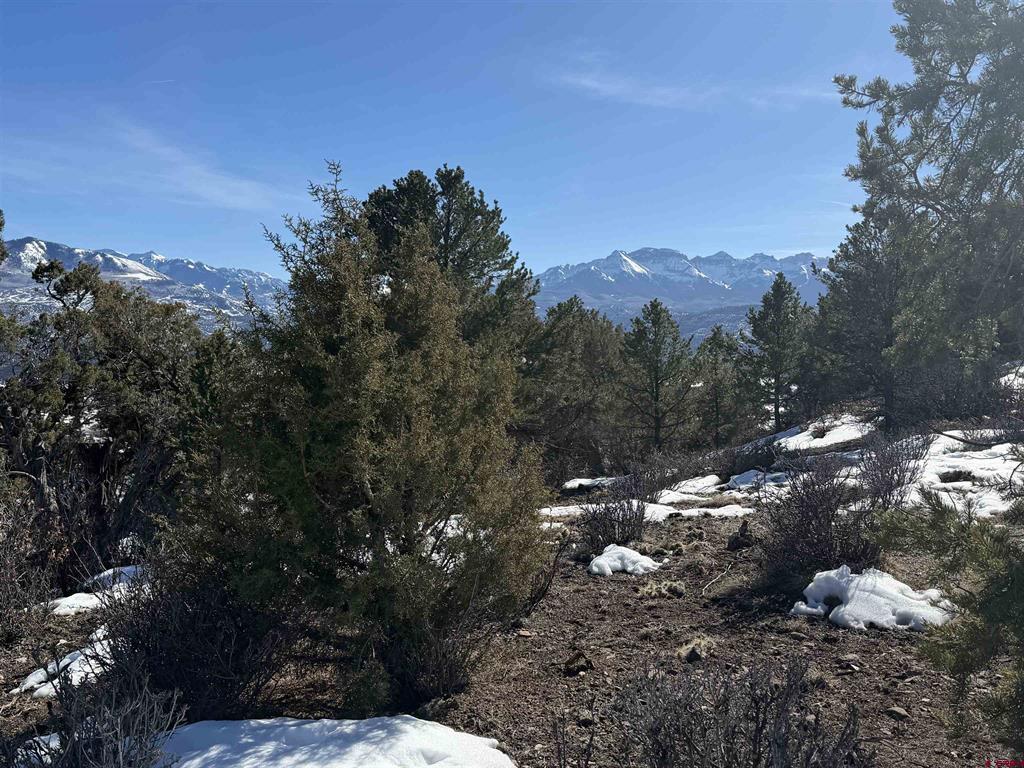 Tbd Pine Drive Ridgway CO 81432