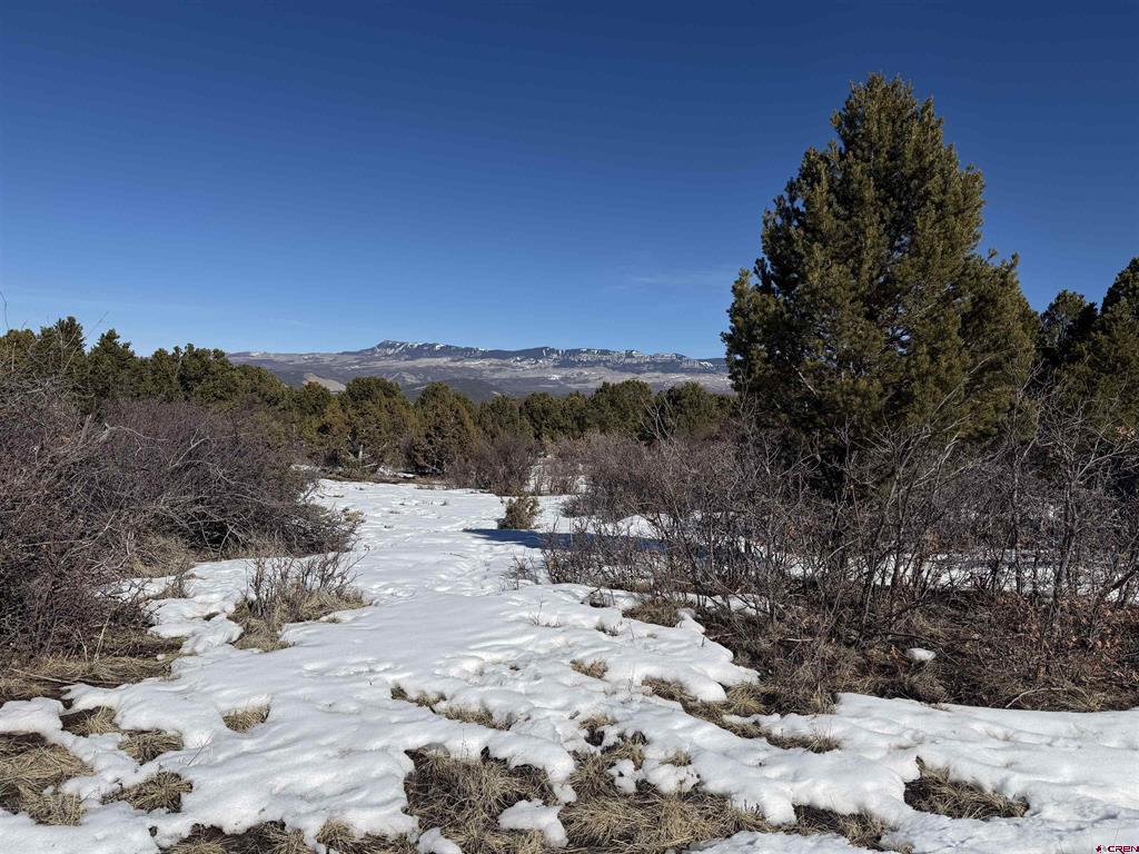 Tbd Pine Drive Ridgway CO 81432