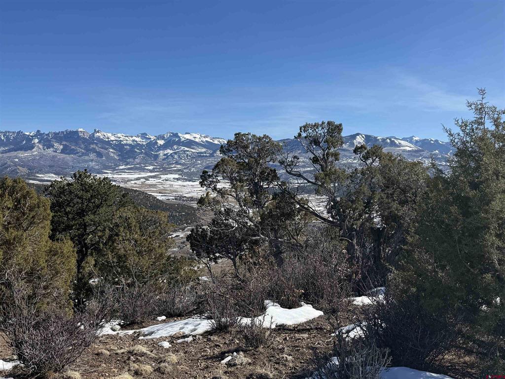 Tbd Pine Drive Ridgway CO 81432