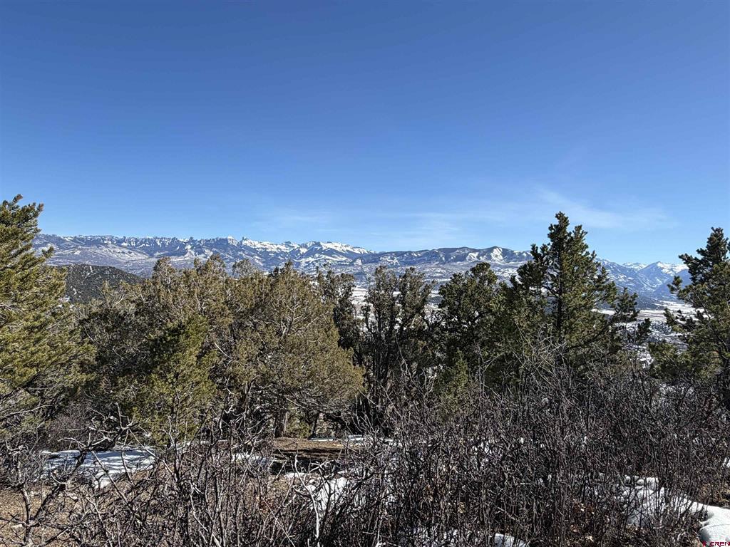 Tbd Pine Drive Ridgway CO 81432
