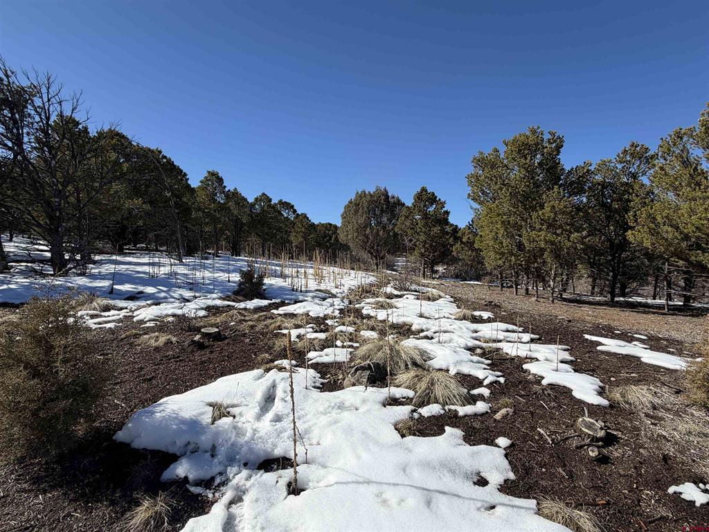Tbd Pine Drive Ridgway CO 81432