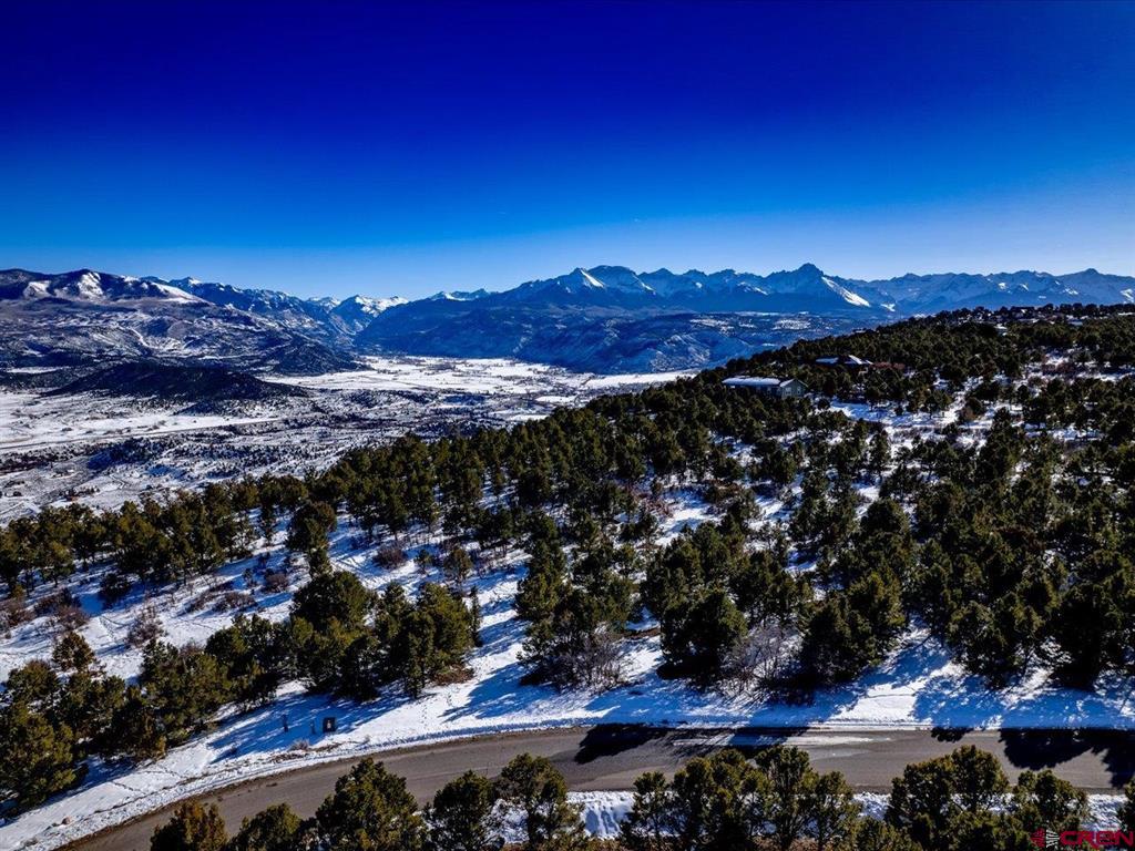 Tbd Pine Drive Ridgway CO 81432