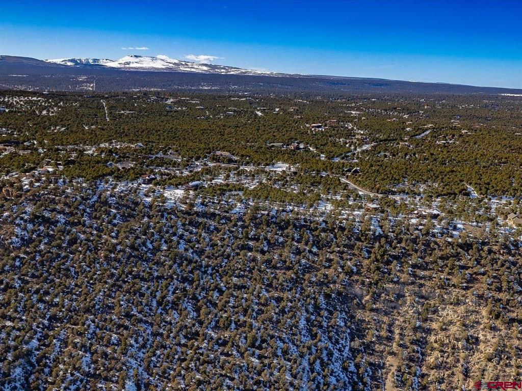 Tbd Pine Drive Ridgway CO 81432