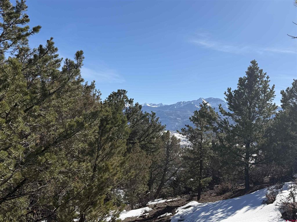 Tbd Pine Drive Ridgway CO 81432