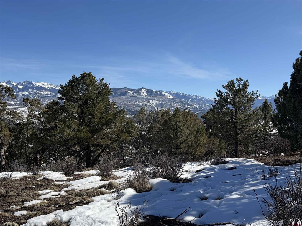 Tbd Pine Drive Ridgway CO 81432