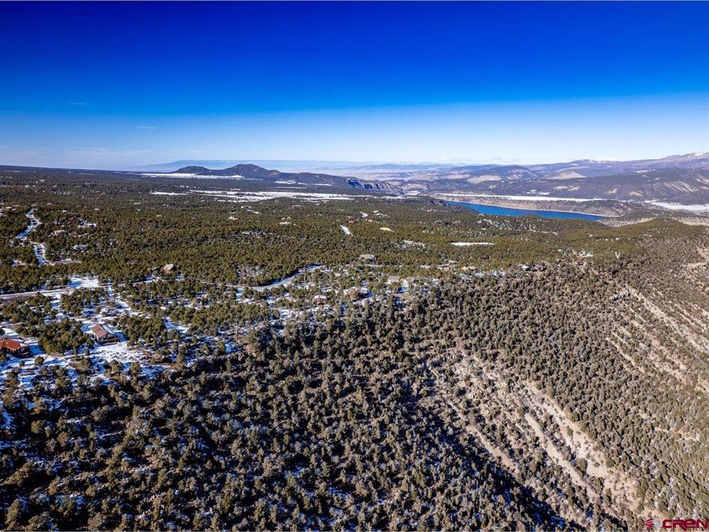 Tbd Pine Drive Ridgway CO 81432
