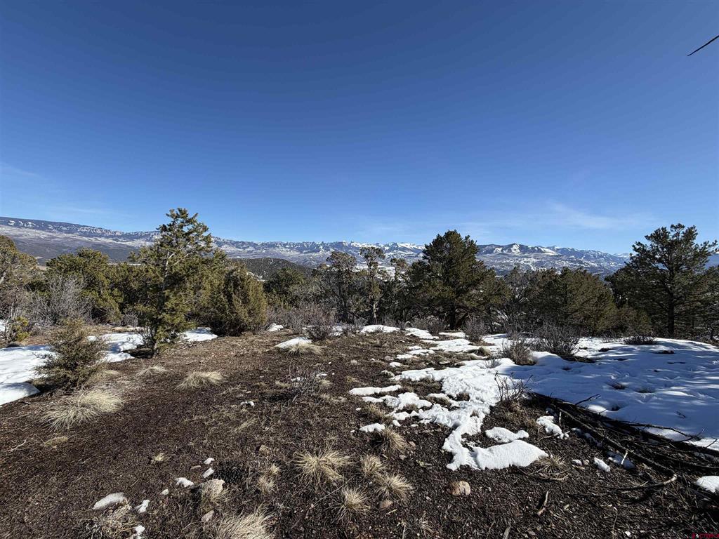 Tbd Pine Drive Ridgway CO 81432