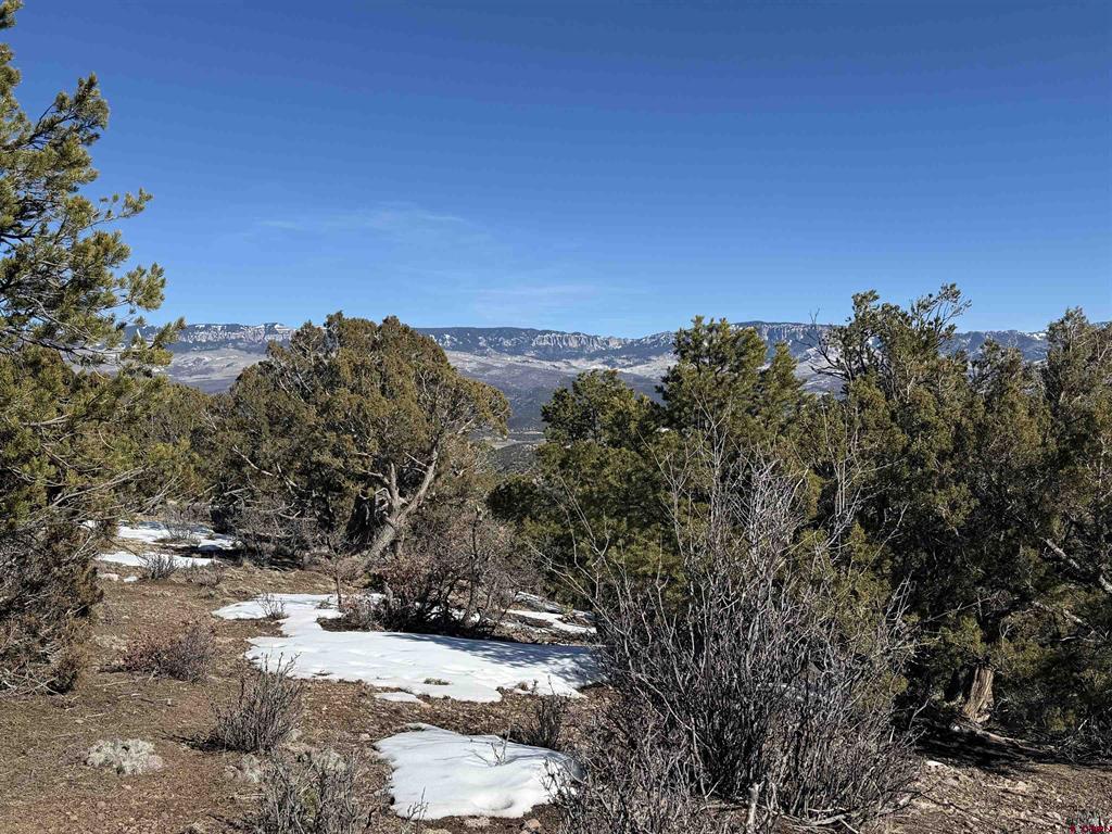 Tbd Pine Drive Ridgway CO 81432
