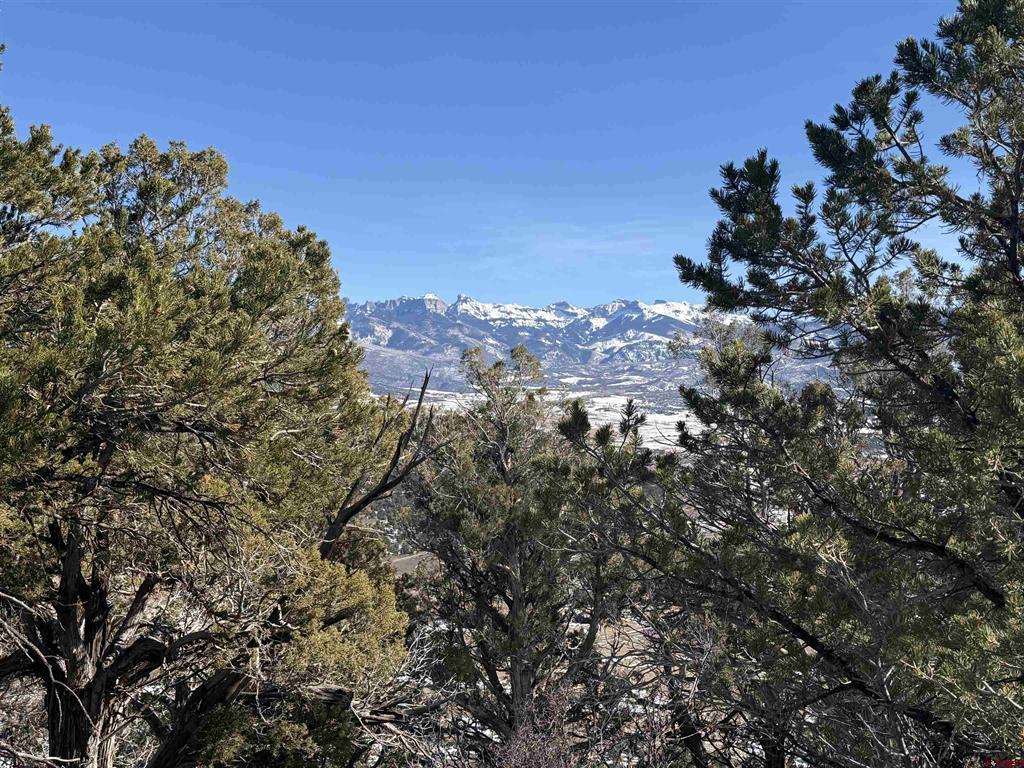 Tbd Pine Drive Ridgway CO 81432