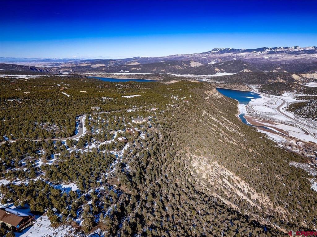 Tbd Pine Drive Ridgway CO 81432