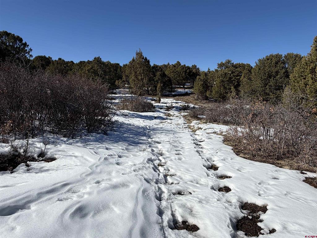 Tbd Pine Drive Ridgway CO 81432