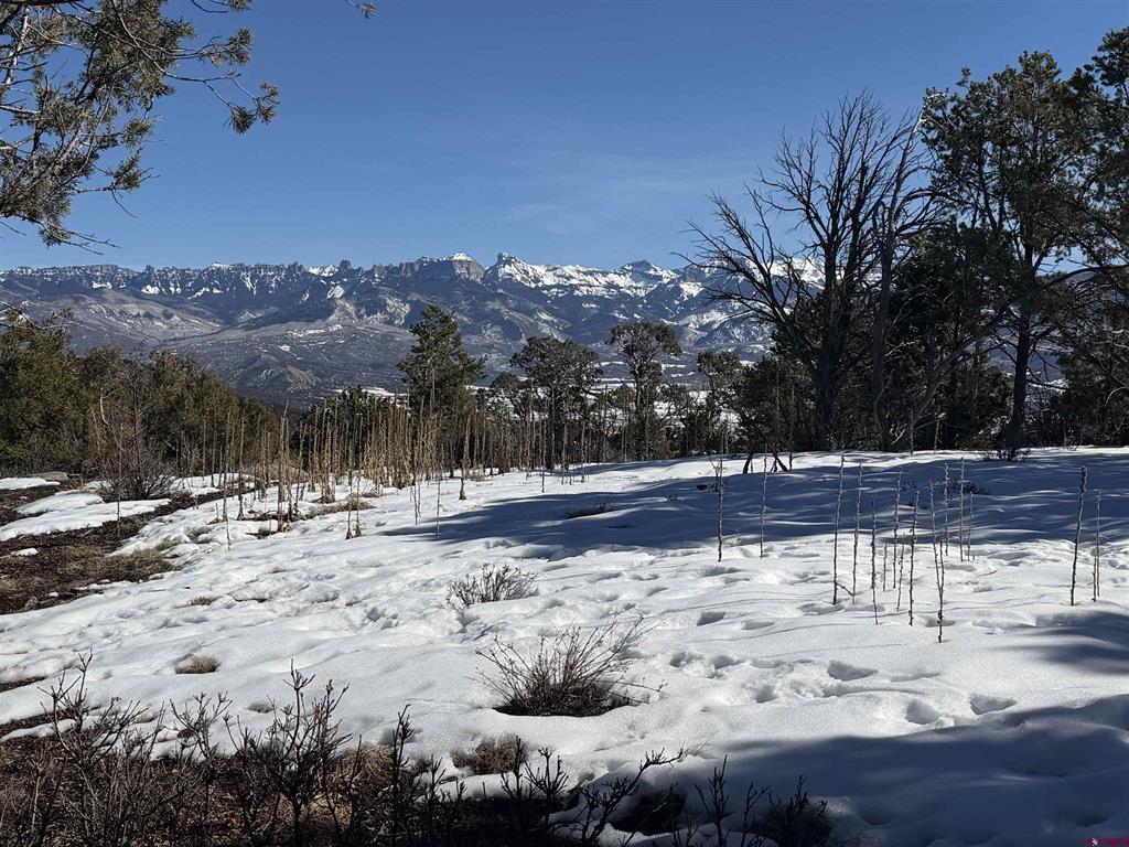 Tbd Pine Drive Ridgway CO 81432