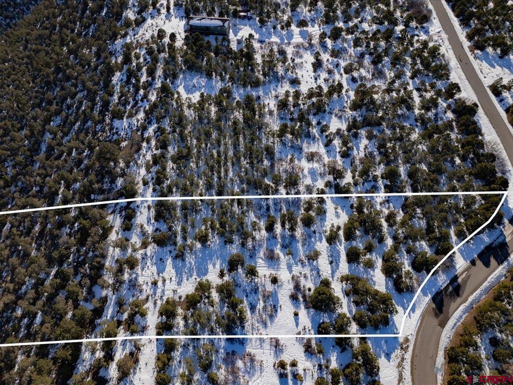 Tbd Pine Drive Ridgway CO 81432