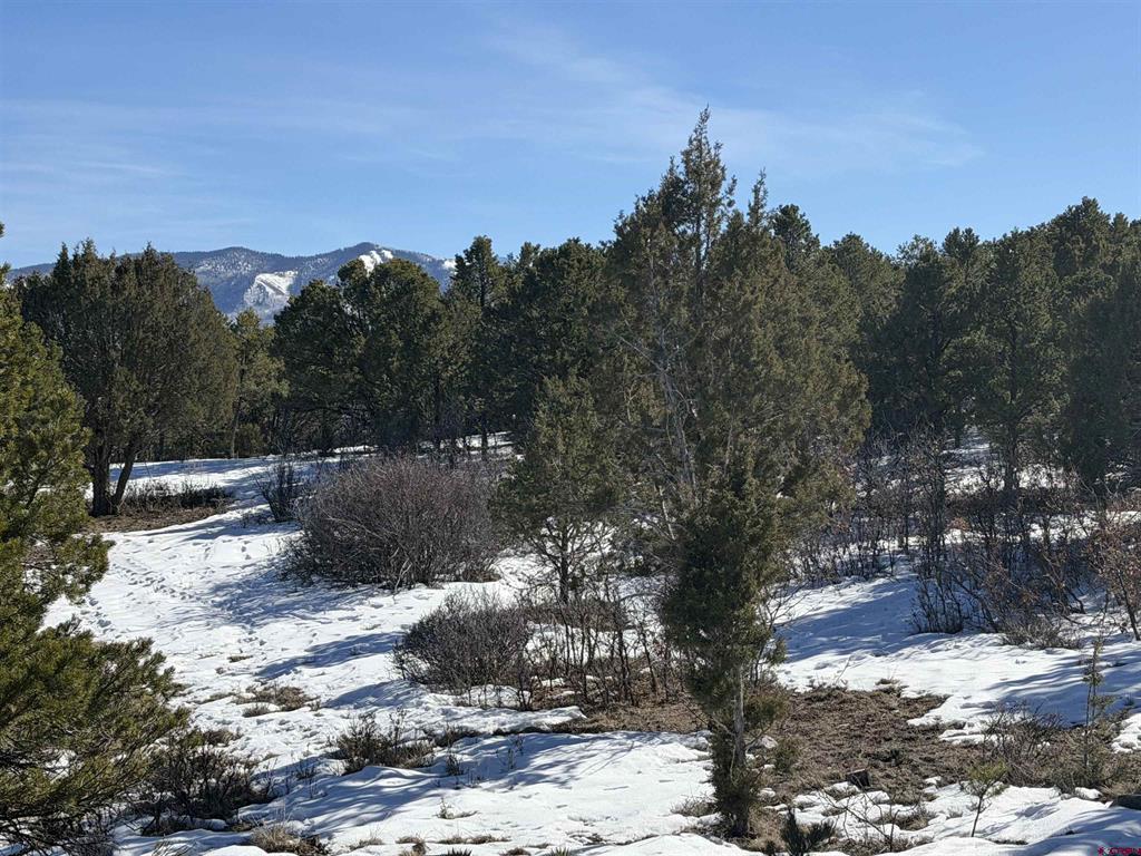 Tbd Pine Drive Ridgway CO 81432