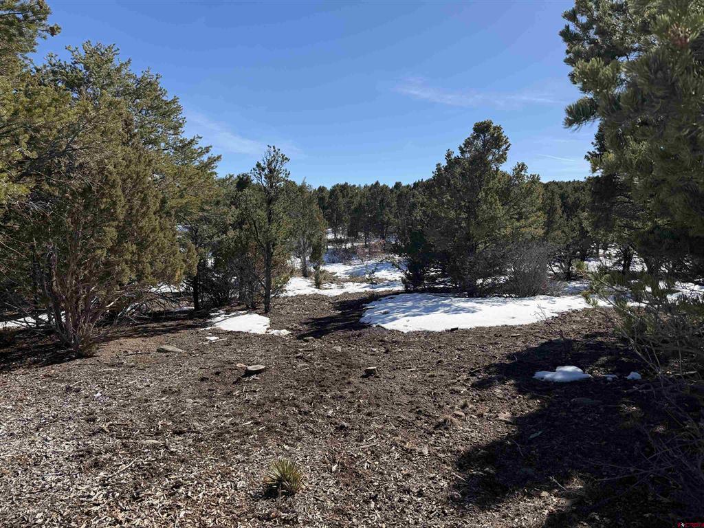 Tbd Pine Drive Ridgway CO 81432