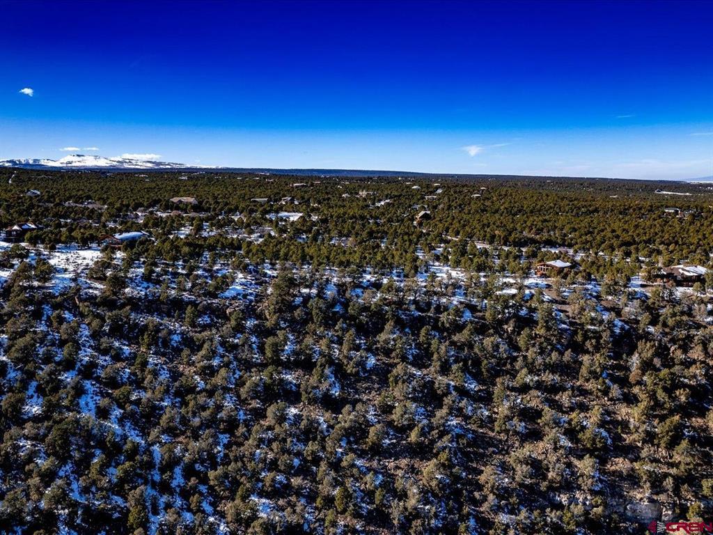 Tbd Pine Drive Ridgway CO 81432