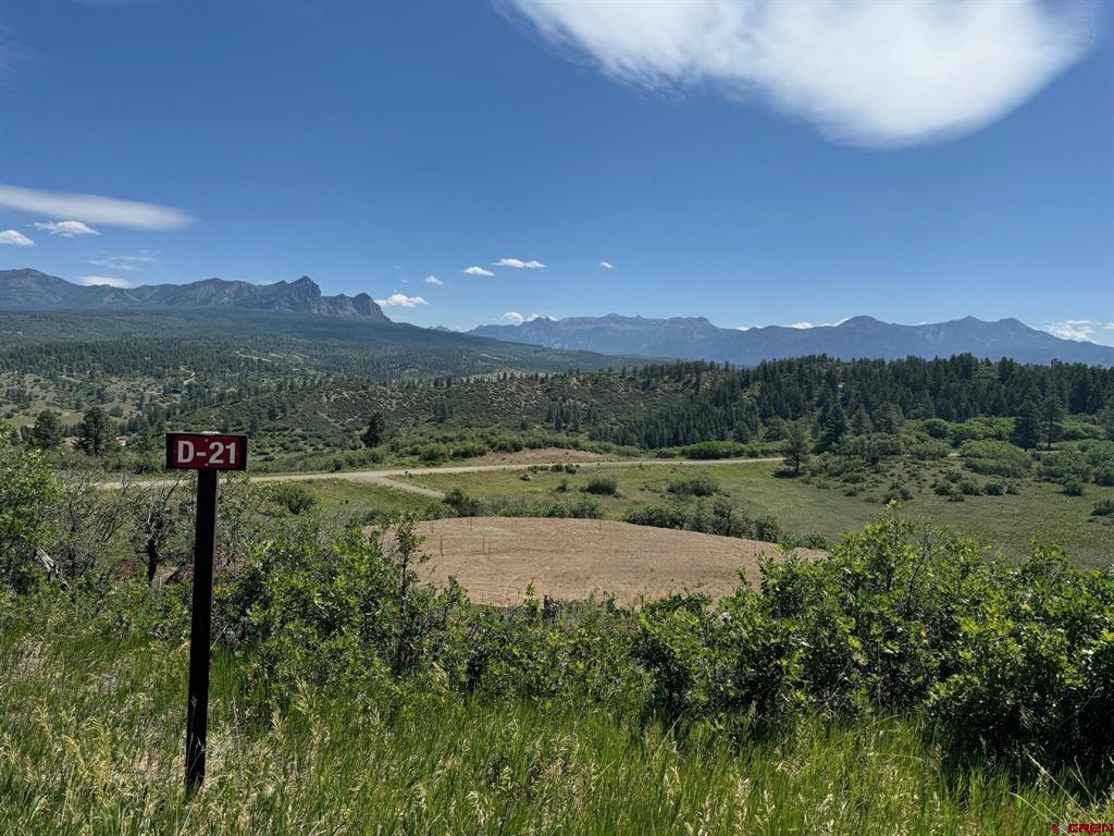 778 W Arbol Park Drive Pagosa Springs CO 81128