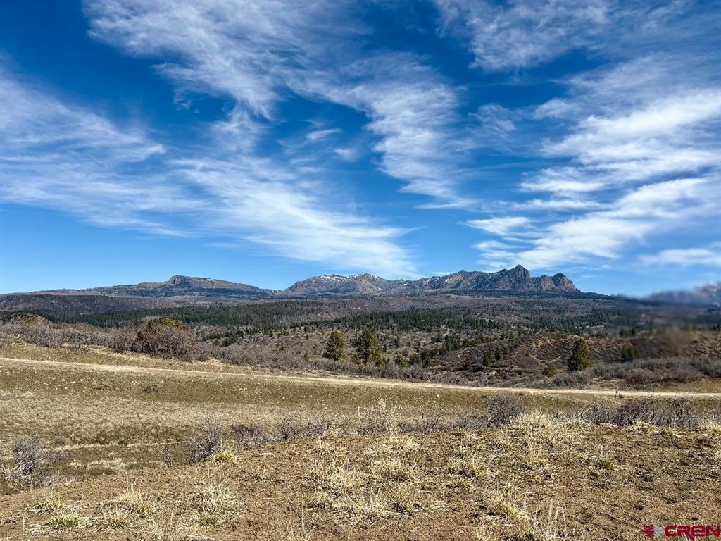 778 W Arbol Park Drive Pagosa Springs CO 81128