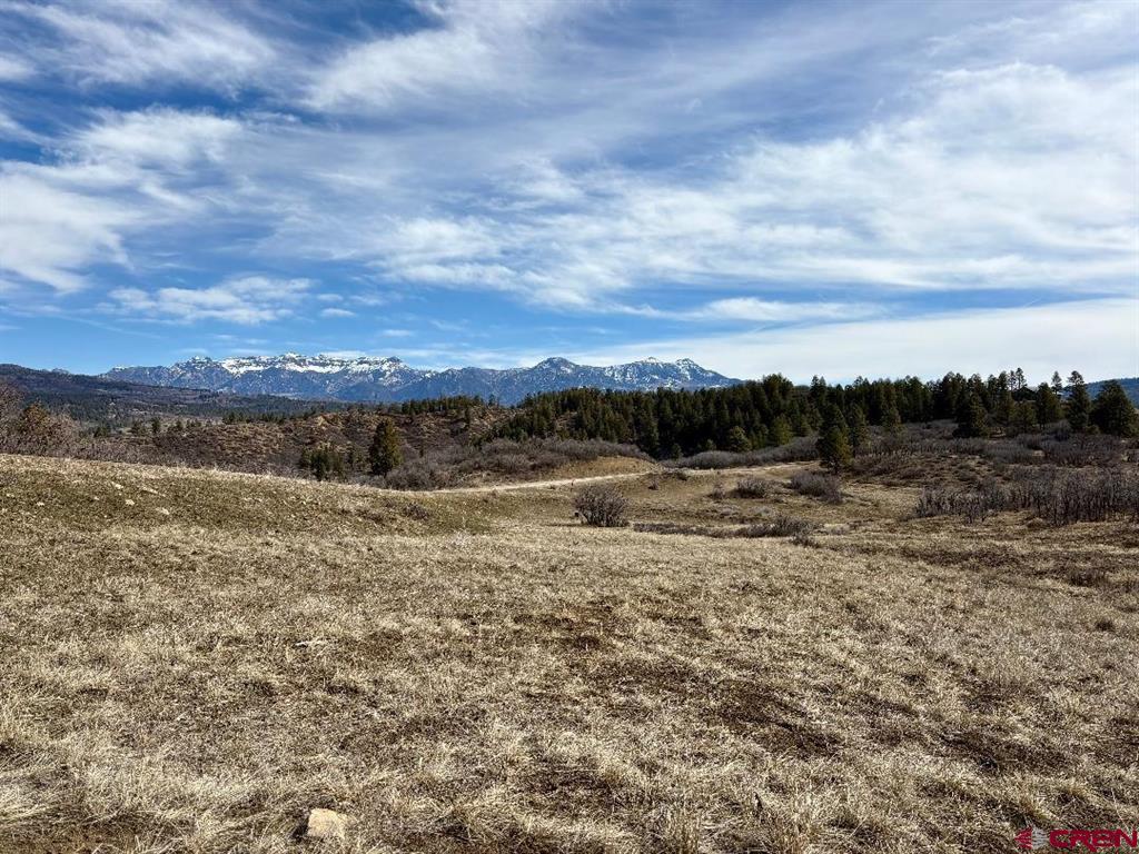 778 W Arbol Park Drive Pagosa Springs CO 81128