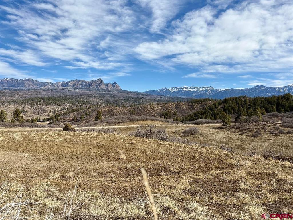 778 W Arbol Park Drive Pagosa Springs CO 81128