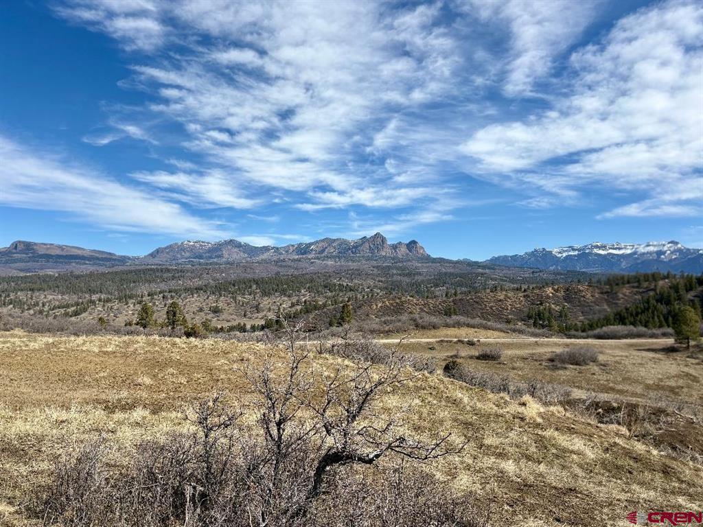 778 W Arbol Park Drive Pagosa Springs CO 81128