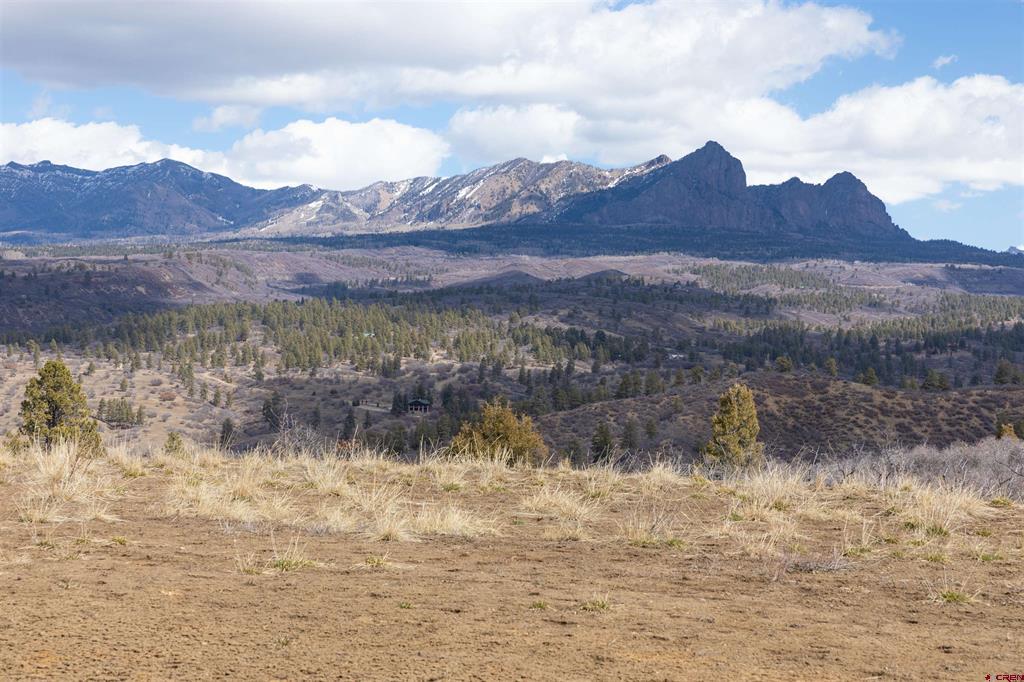 778 W Arbol Park Drive Pagosa Springs CO 81128