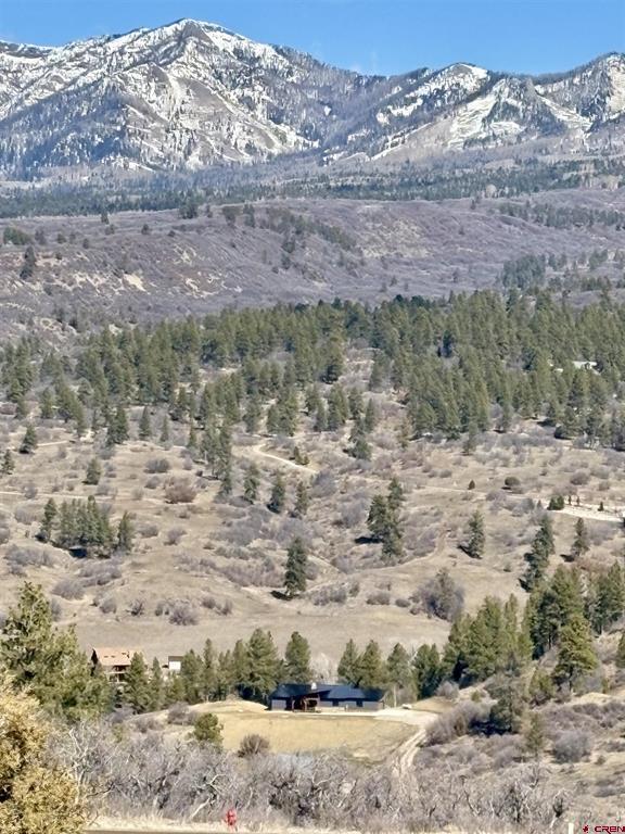 778 W Arbol Park Drive Pagosa Springs CO 81128